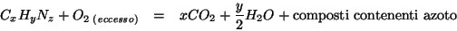 \begin{eqnarray*}
C_xH_yN_z+O_{2\;\left(\mathit{eccesso}\right)}&=&xCO_2+\frac{y}{2}H_2O+\mbox{composti
contenenti azoto}
\end{eqnarray*}